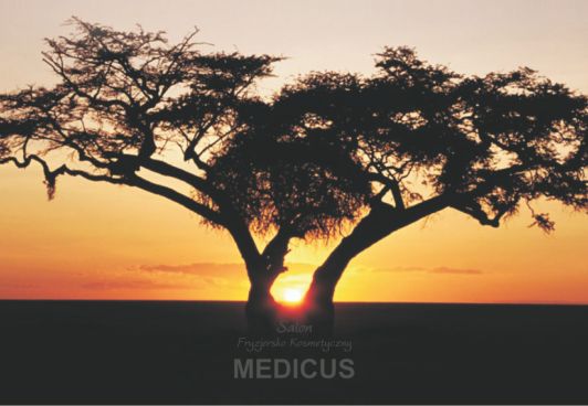 logo medicus1
